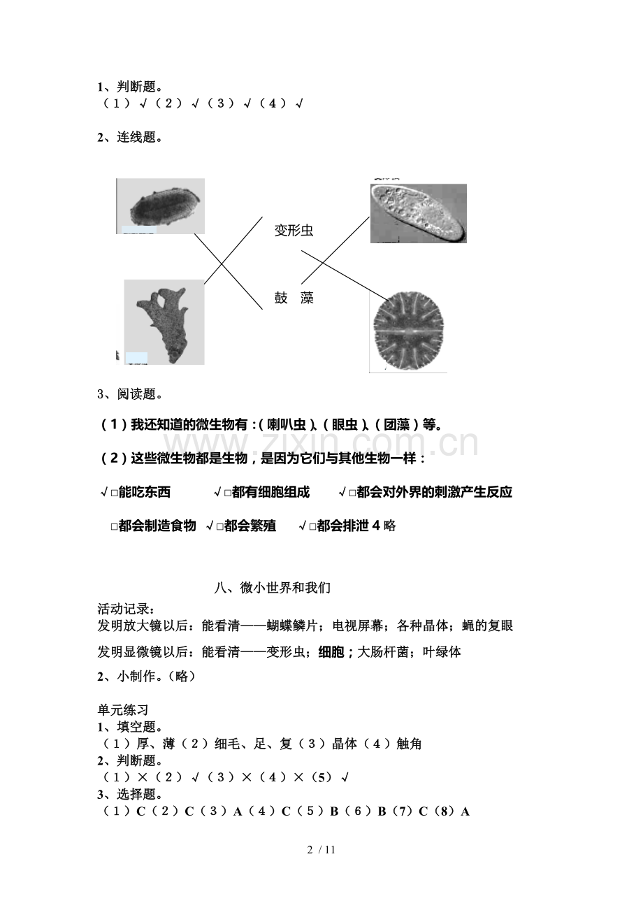 科学六级下册课堂作业本详细答案.doc_第2页