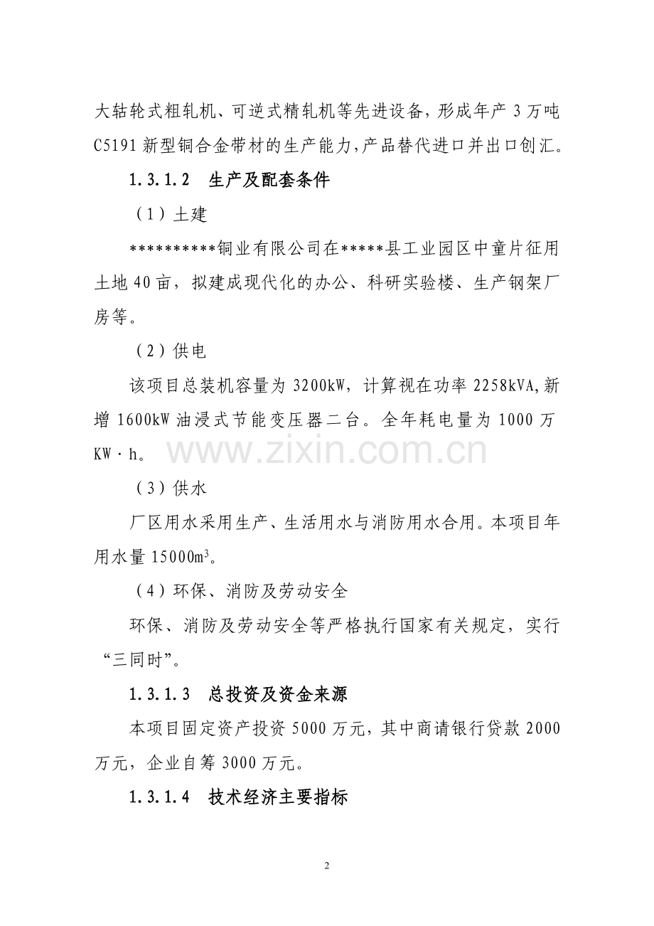 年产3万吨c5191新型铜合金带材项目建设可行性研究报告.doc_第2页