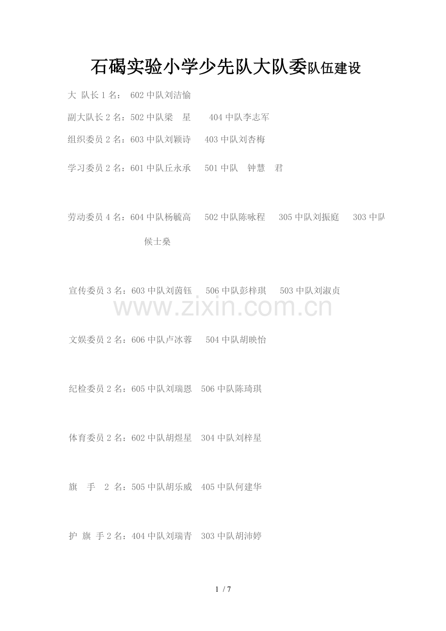 少先队大队委建设技术方案.doc_第1页