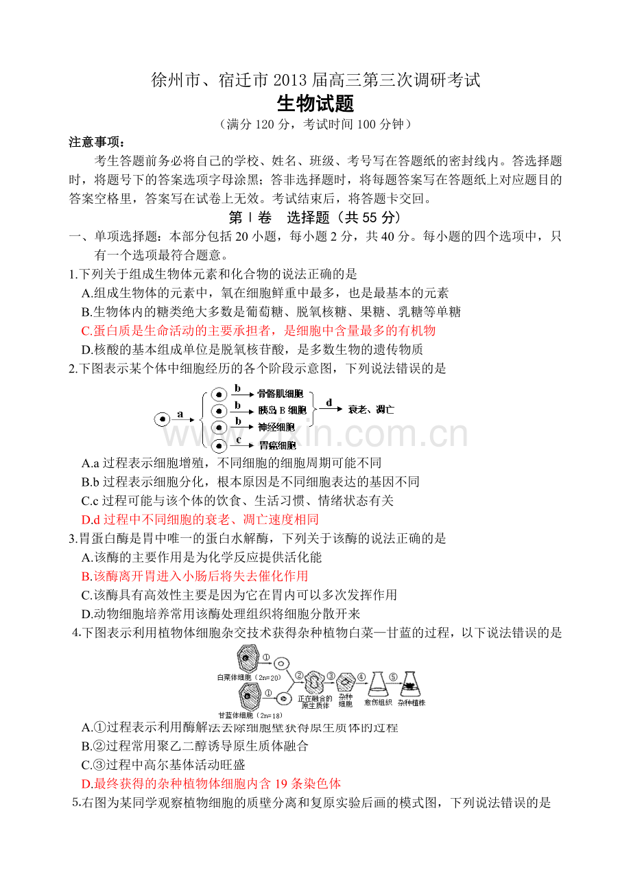 徐州市宿迁市高三第三次调研考试.doc_第1页