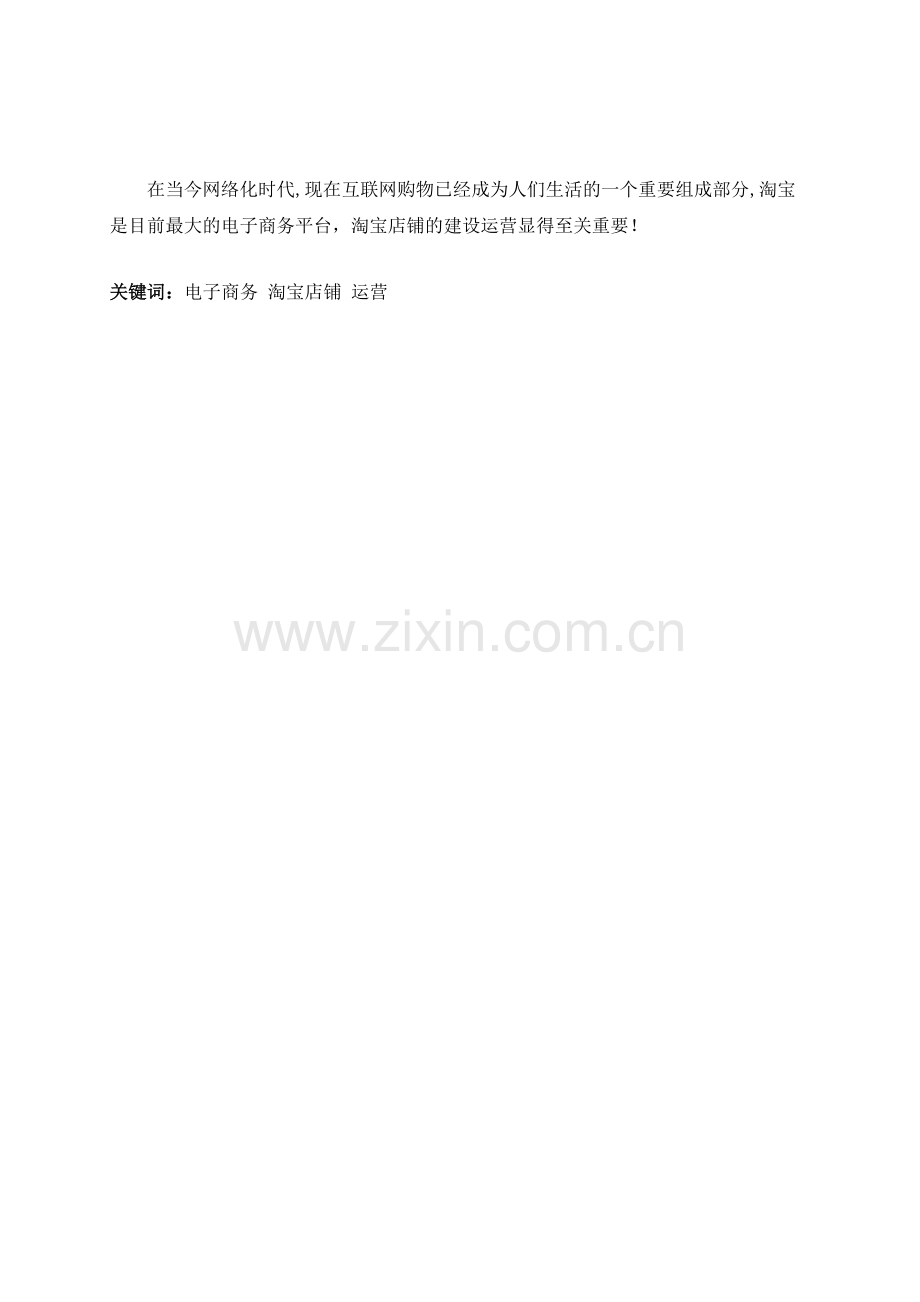 淘宝店铺建设与运营.doc_第2页