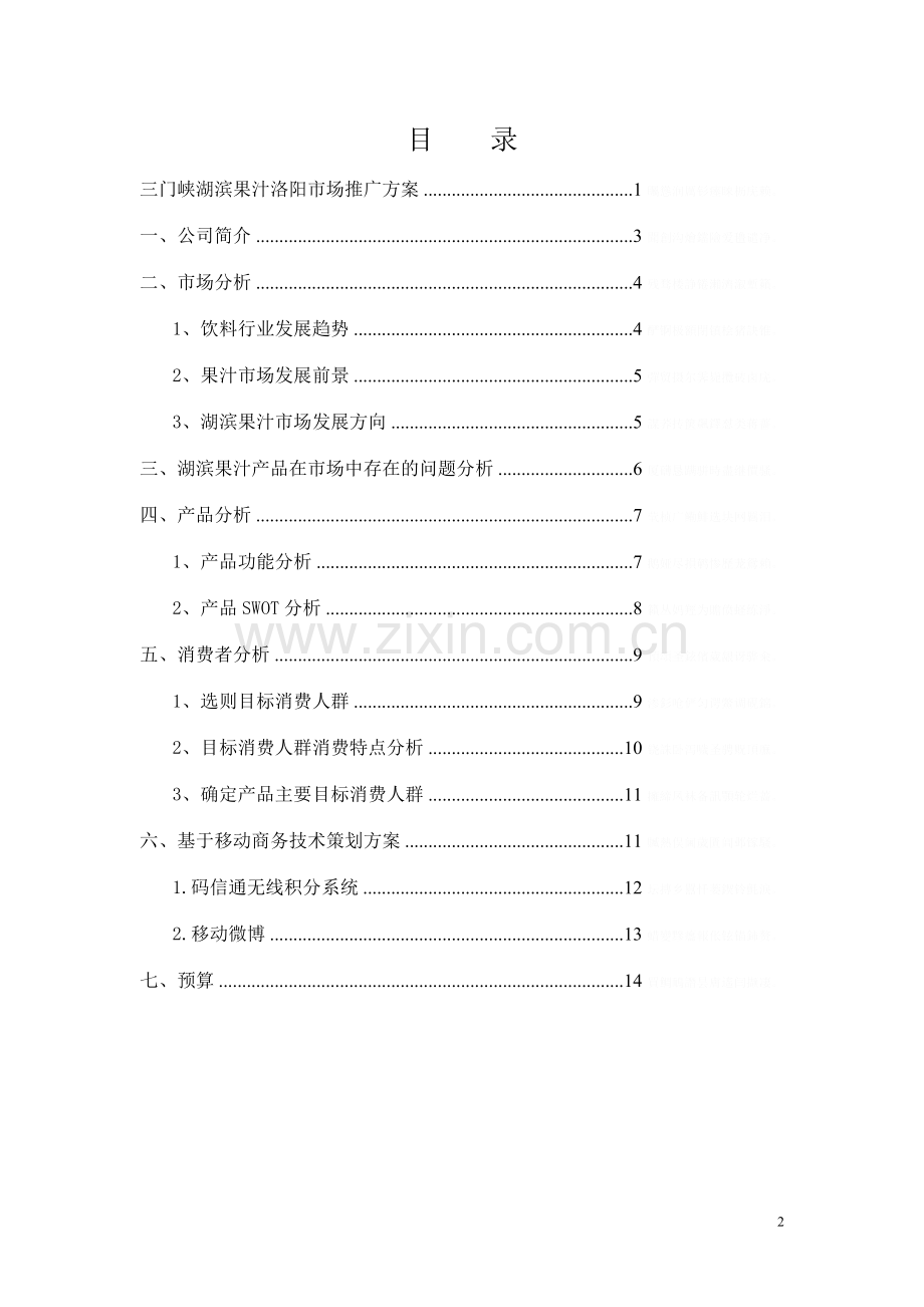 门峡湖滨果汁洛阳市场推广方案.doc_第2页