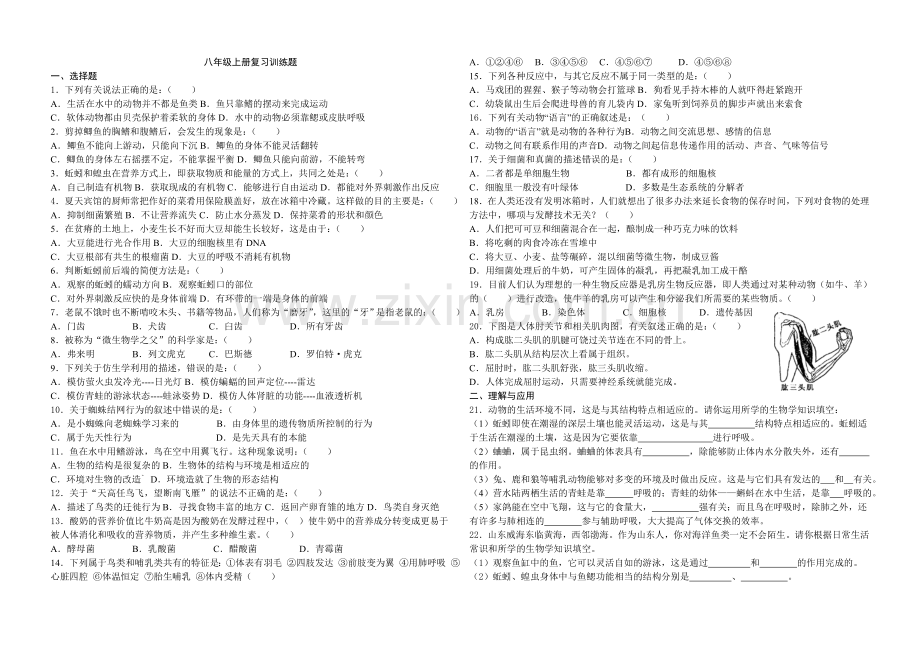 八级上册复习训练题.doc_第1页