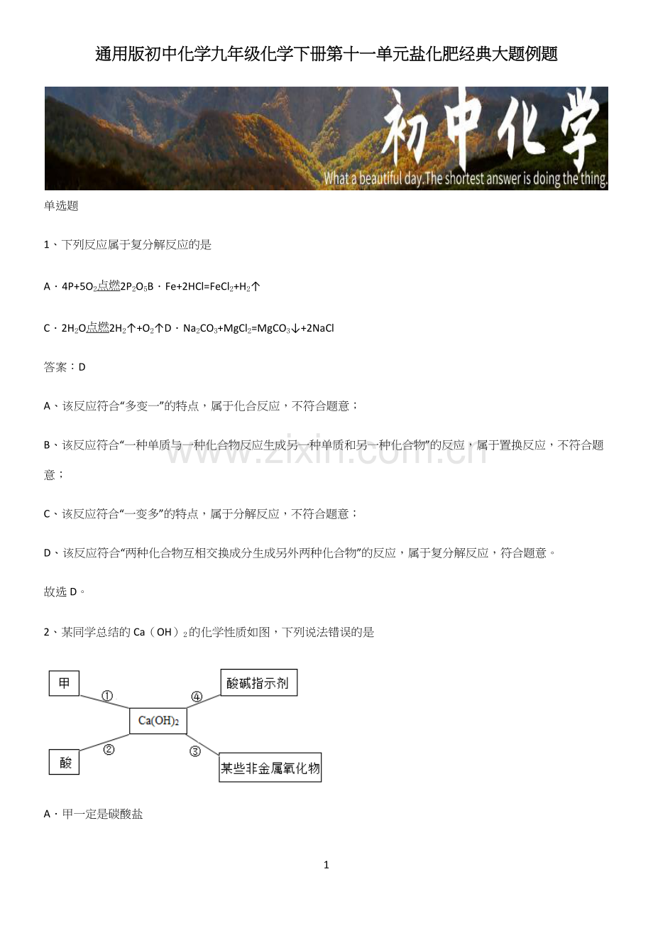 通用版初中化学九年级化学下册第十一单元盐化肥经典大题例题.docx_第1页