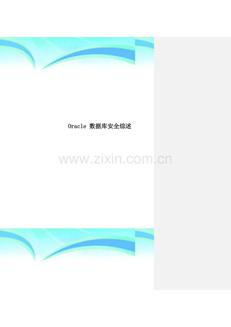 Oracle-数据库安全综述.doc_第1页