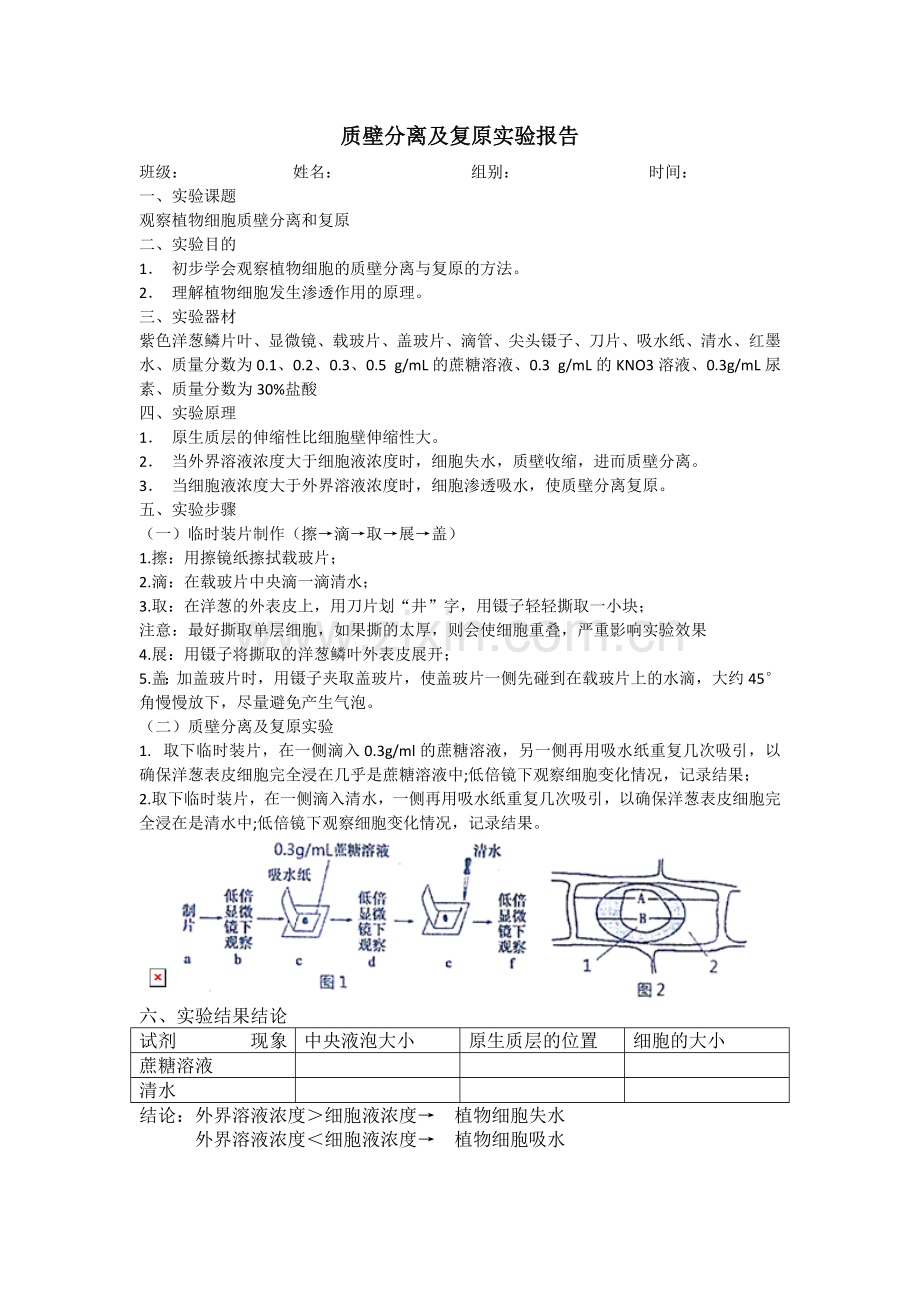 质壁分离及复原实验实验报告.doc_第1页