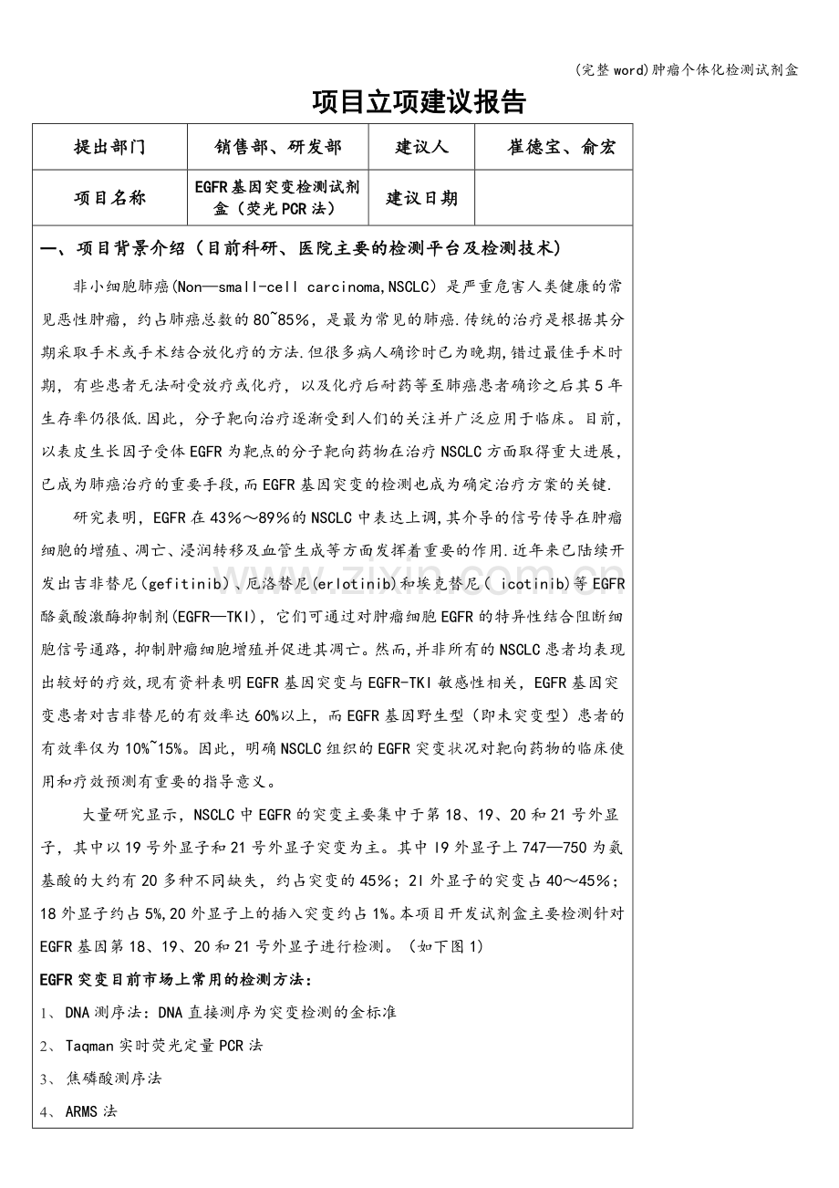 肿瘤个体化检测试剂盒.doc_第1页