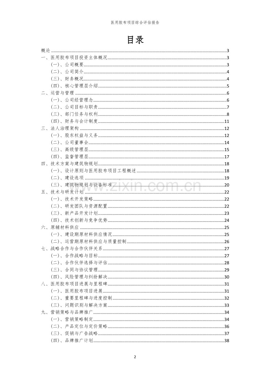 2023年医用胶布项目综合评估报告.docx_第2页