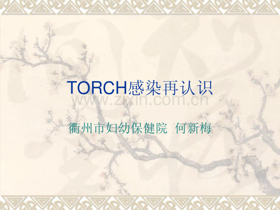 TORCH感染再认识-(2).pdf_第1页