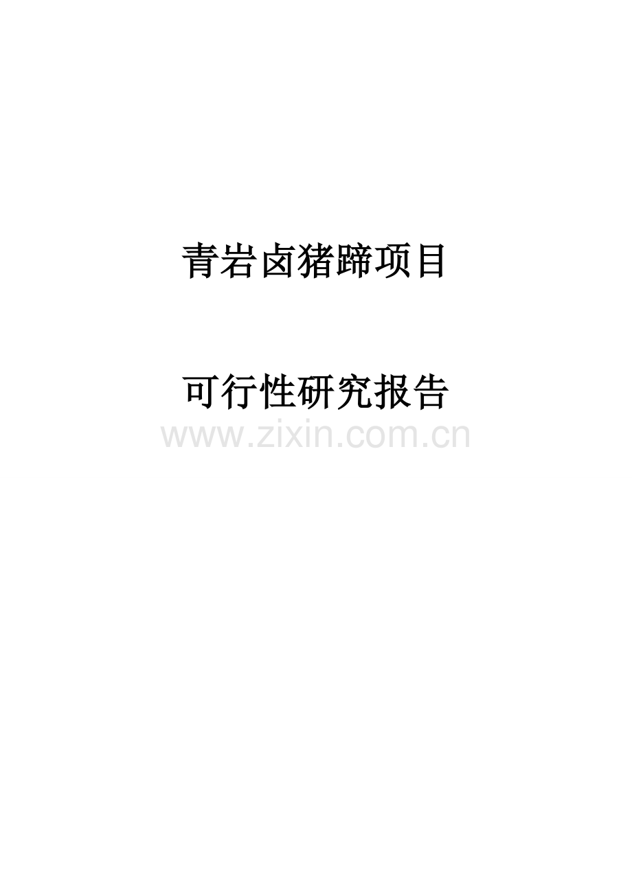 青岩卤猪蹄项目可行性研究报告.doc_第1页