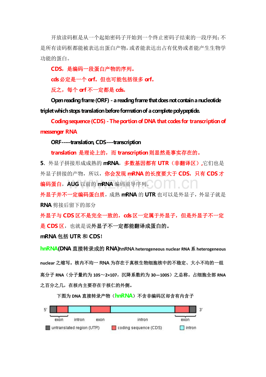 外显子、内含子、mRNA、CDS、ORF区别详解.pdf_第2页