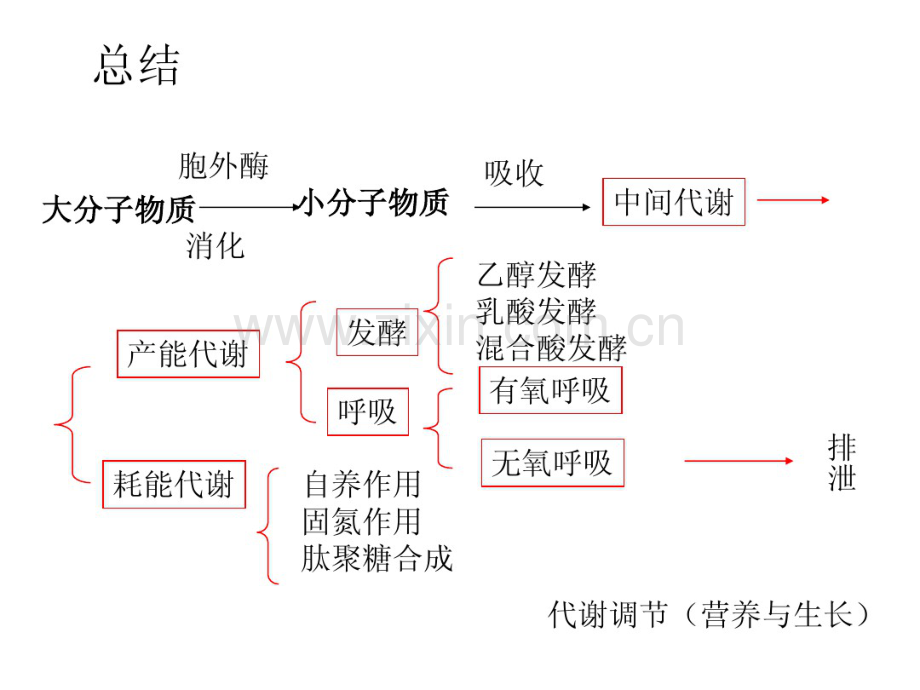 沈萍版7微生物的生长.pdf_第1页
