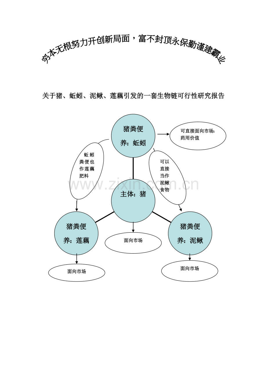 关于猪、蚯蚓、泥鳅、莲藕引发的一套生物链项目可行性研究报告.doc_第1页
