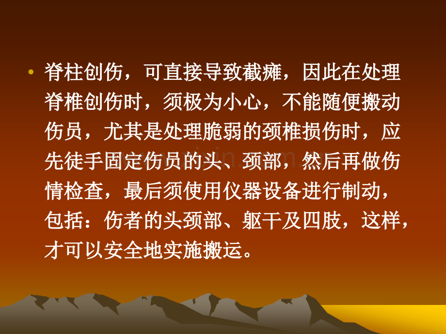 脊柱板技术.ppt_第2页