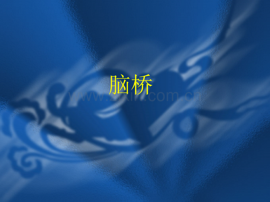 脑桥(ppt文档).ppt_第1页