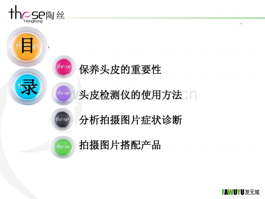 头皮检测与诊断.pdf_第2页