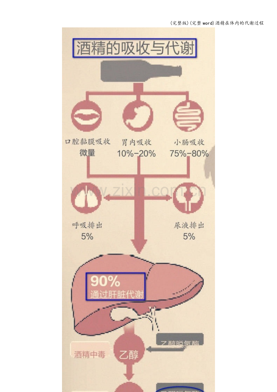 酒精在体内的代谢过程.doc_第1页