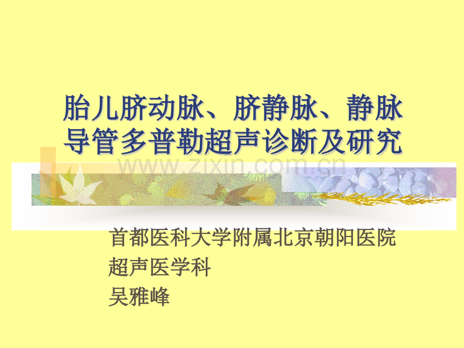 胎儿脐动脉、脐静脉、静脉导管多普勒超声诊断及研究.ppt_第1页