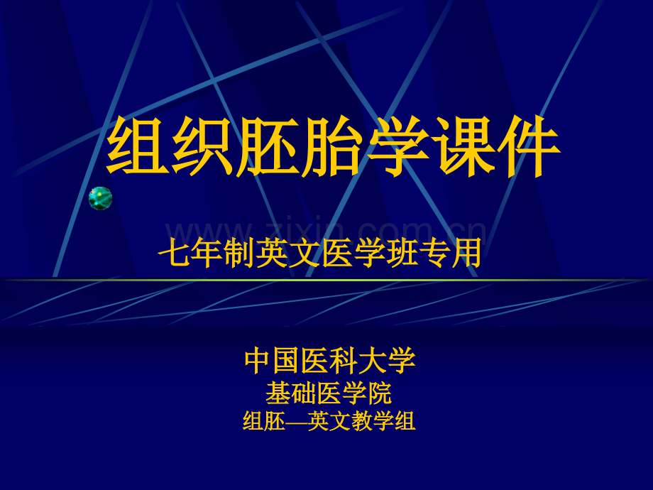 e03.Connective-tissue结缔组织(ppt文档).ppt_第1页