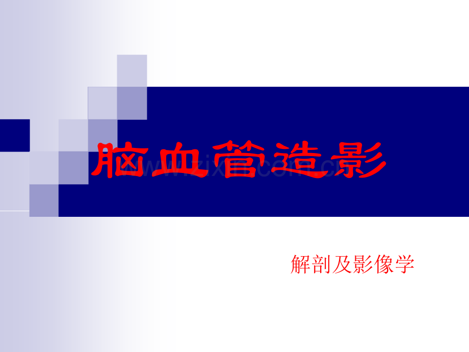 脑血管造影(解剖及影像表现).ppt_第1页