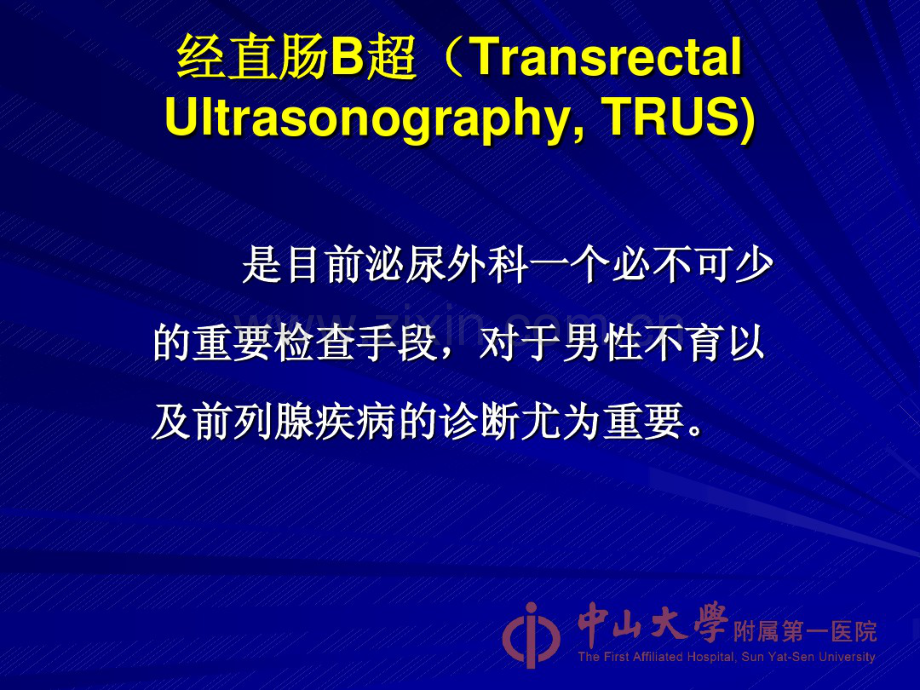 TRUS在男科疾病中的应用-(2).pdf_第2页