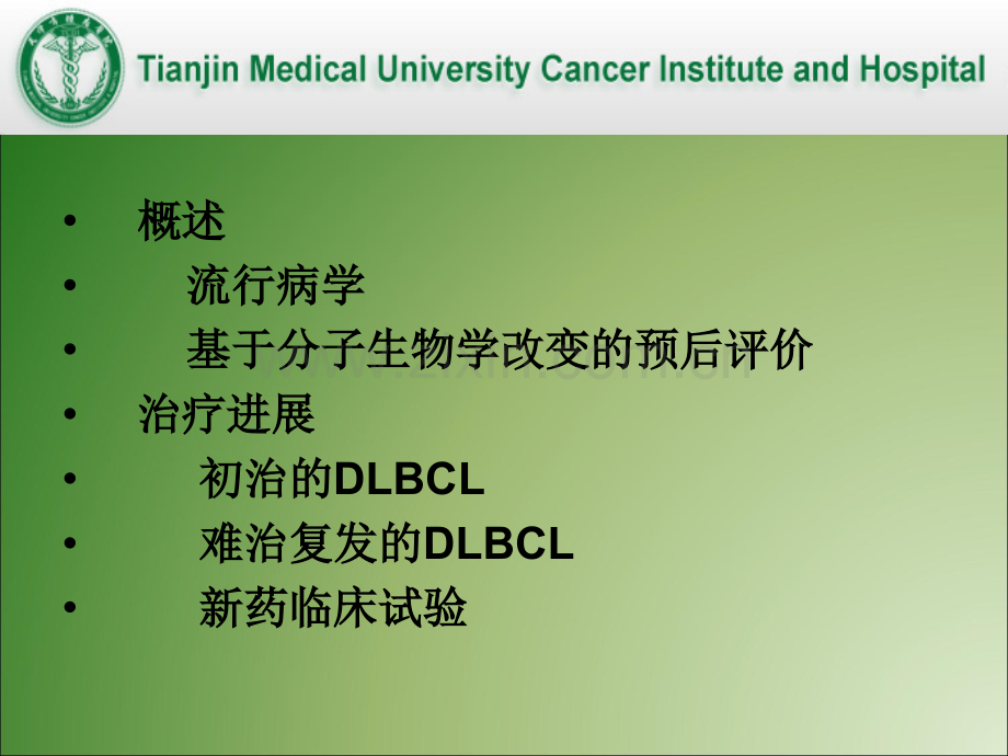 弥漫大B细胞淋巴瘤治疗新进展-(1).ppt_第2页