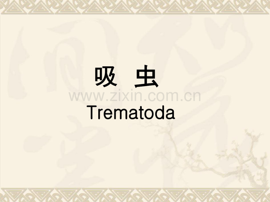 吸虫-(2).pdf_第1页