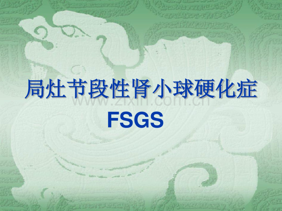 局灶节段增生硬化性肾炎FSGS.pdf_第1页