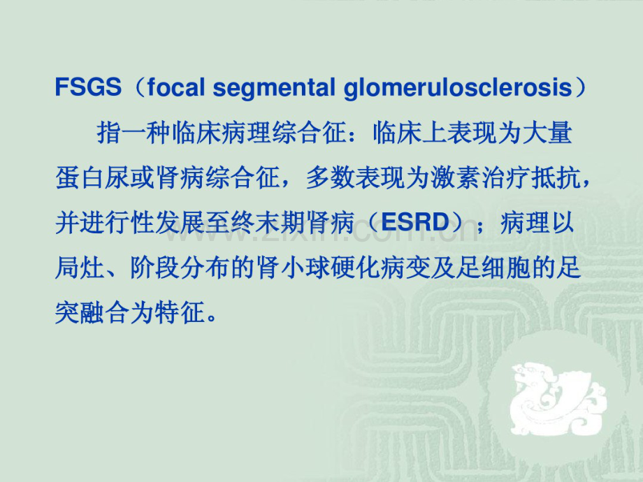 局灶节段增生硬化性肾炎FSGS.pdf_第2页