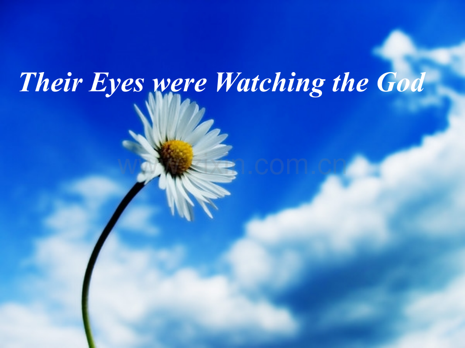 their-eyes-were-watching-the-god.ppt_第1页