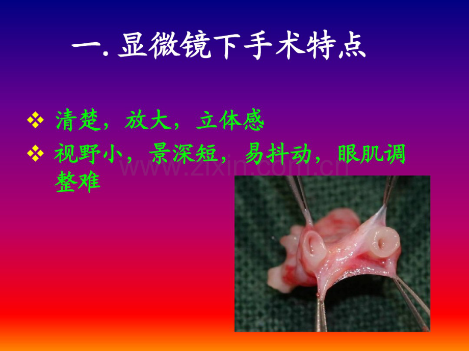 小血管吻合的基础训练.pdf_第2页