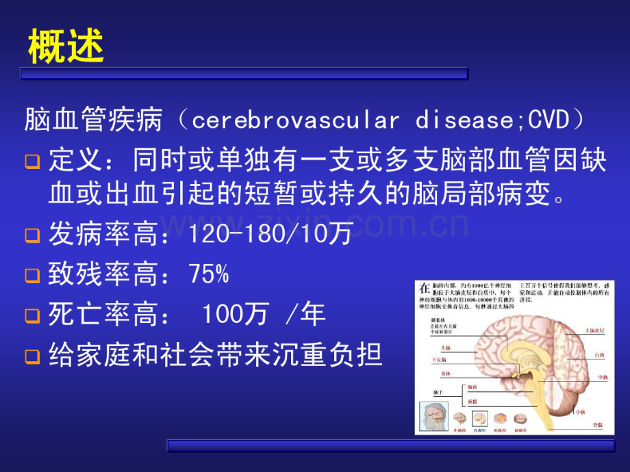脑血管疾病讲稿.pdf_第2页