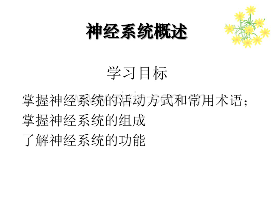 脊髓-(2).pdf_第2页