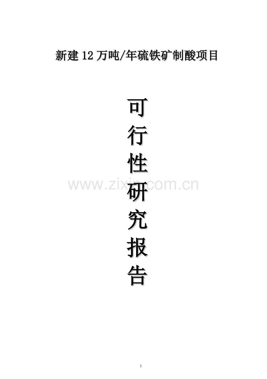 新建12万吨年硫铁矿制酸项目建设可行性研究报告.doc_第1页