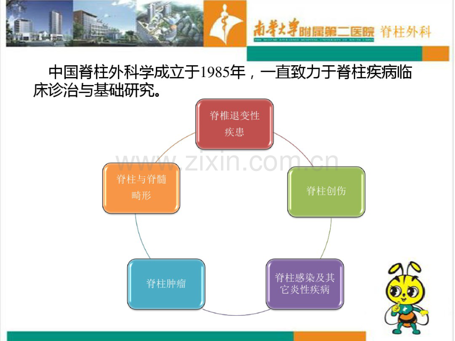 脊柱疾患的手术治疗进展.pdf_第2页
