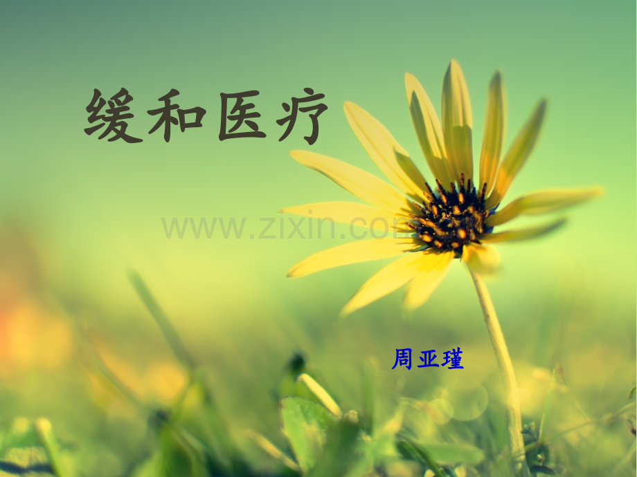 缓和医疗2.ppt_第1页