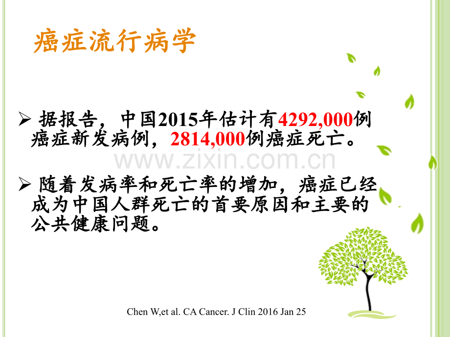 缓和医疗2.ppt_第2页