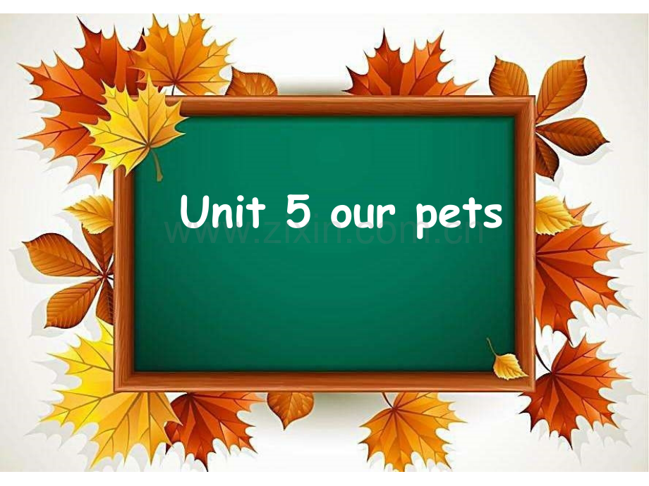 剑桥国际少儿英语一级unit-5-our-pets.ppt_第1页