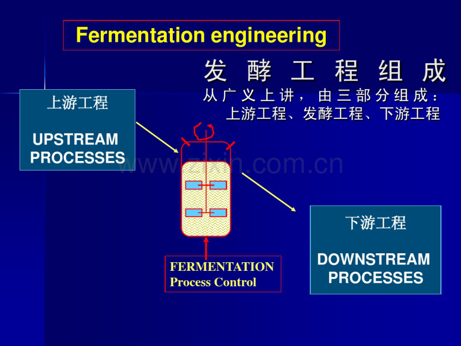 发酵产物分离纯化.pdf_第2页