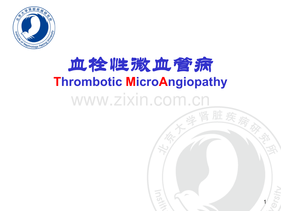血栓性微血管病之介绍(ppt文档).ppt_第1页