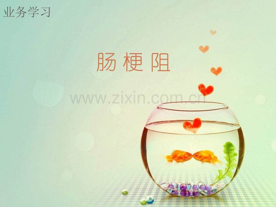 肠梗阻分型及常见病因.ppt_第1页