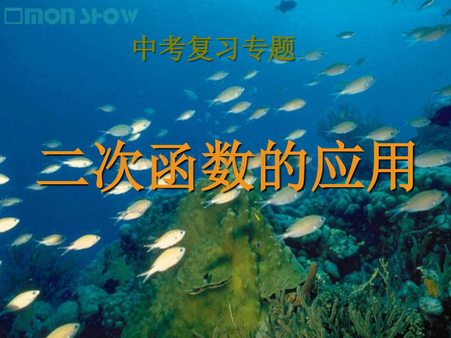 中考复习专题-二次函数应用题.ppt_第1页