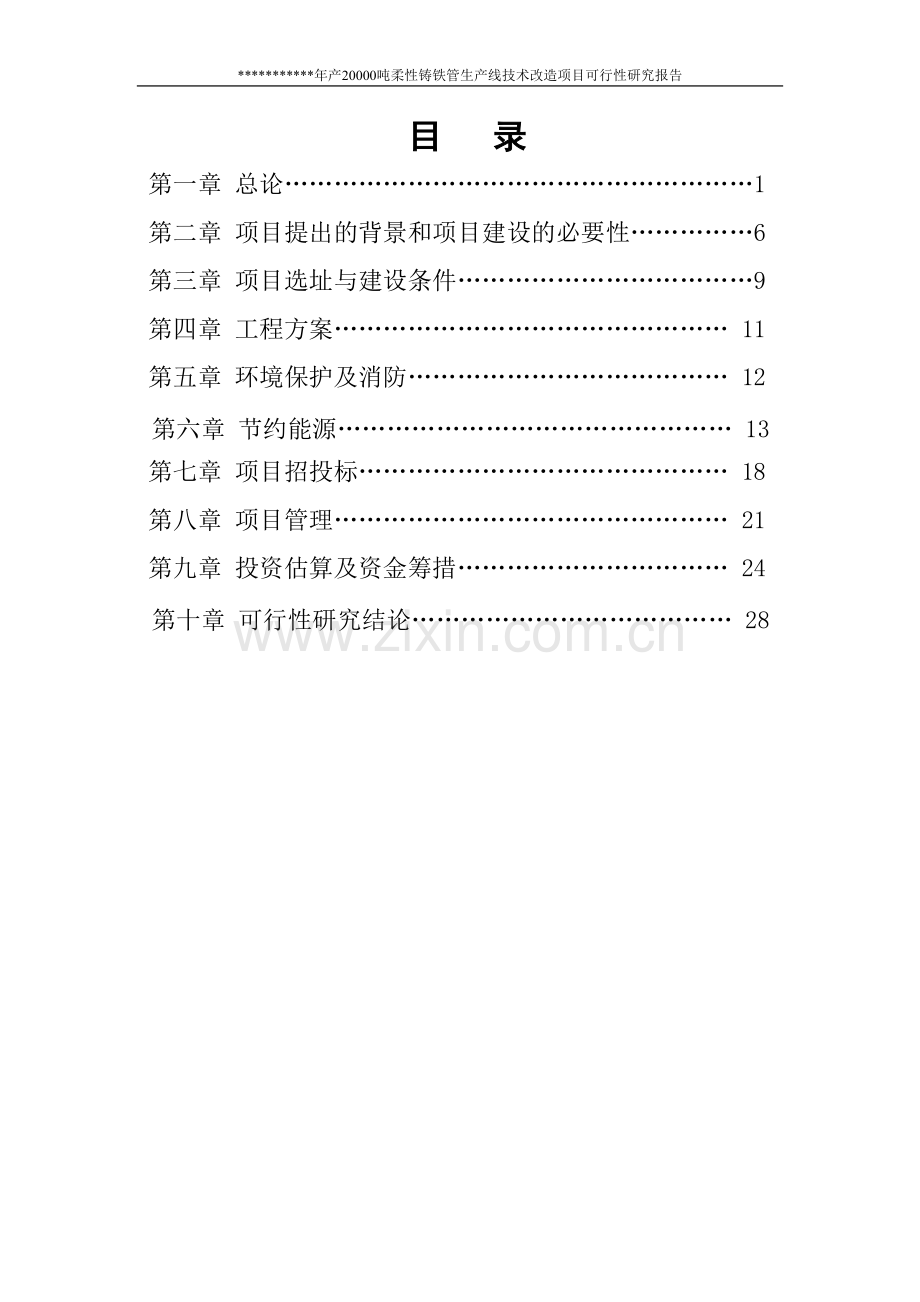 年产20000吨柔性铸铁管生产线技术改造项目可行性研究报告1.doc_第1页