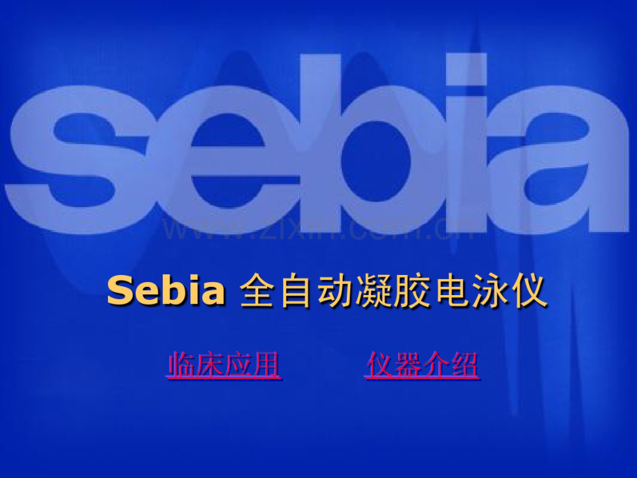 SEBIA凝胶电泳的临床应用-(2).pdf_第1页