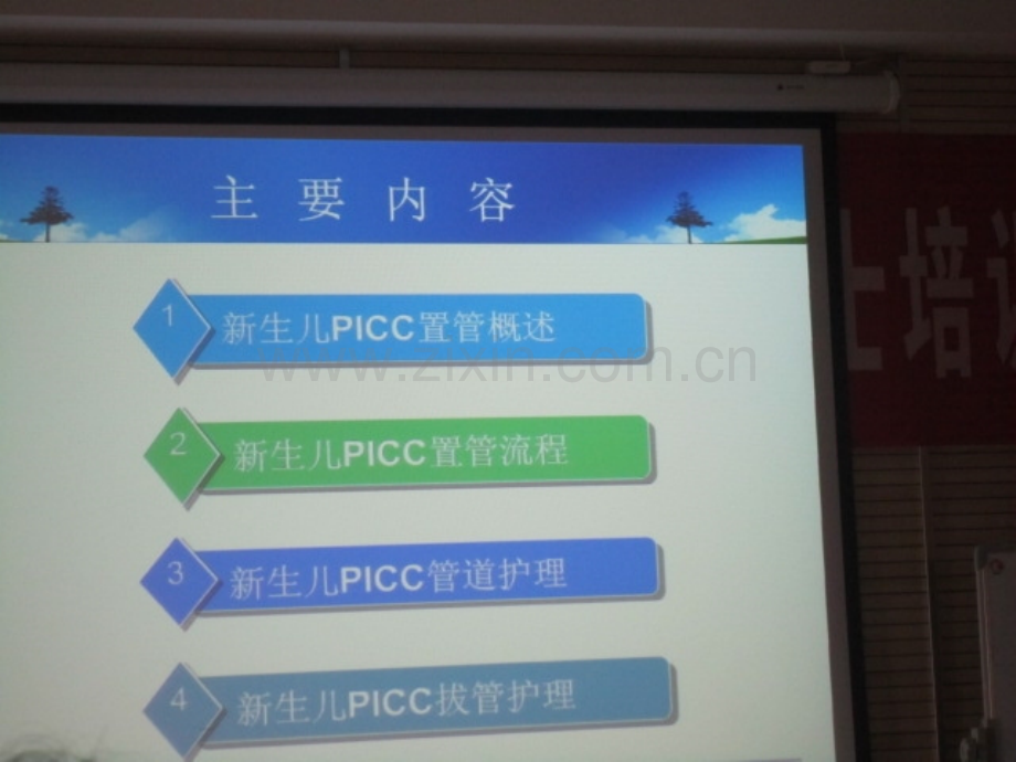 新生儿置管技术PICC.ppt_第2页