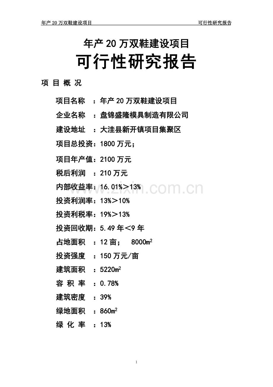年产20万双鞋项目建设可行性研究报告.doc_第1页