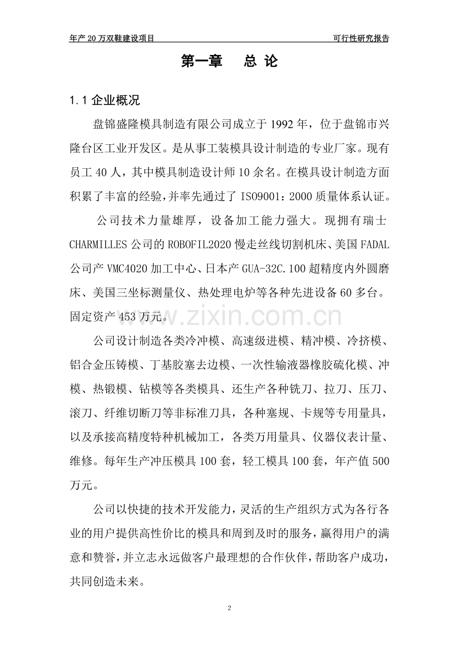 年产20万双鞋项目建设可行性研究报告.doc_第2页