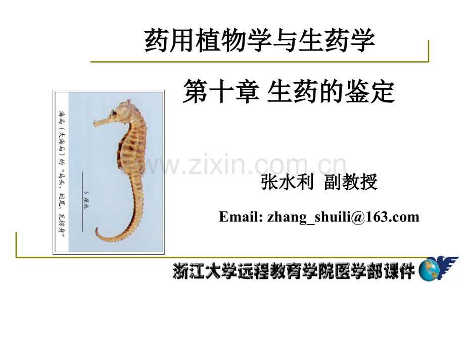 1000148药用植物学与生药学-13-15生药的鉴定、采收加工、炮制、质量标准-1002.ppt_第1页