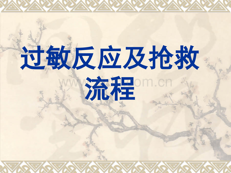 过敏反应及抢救流程.ppt_第1页