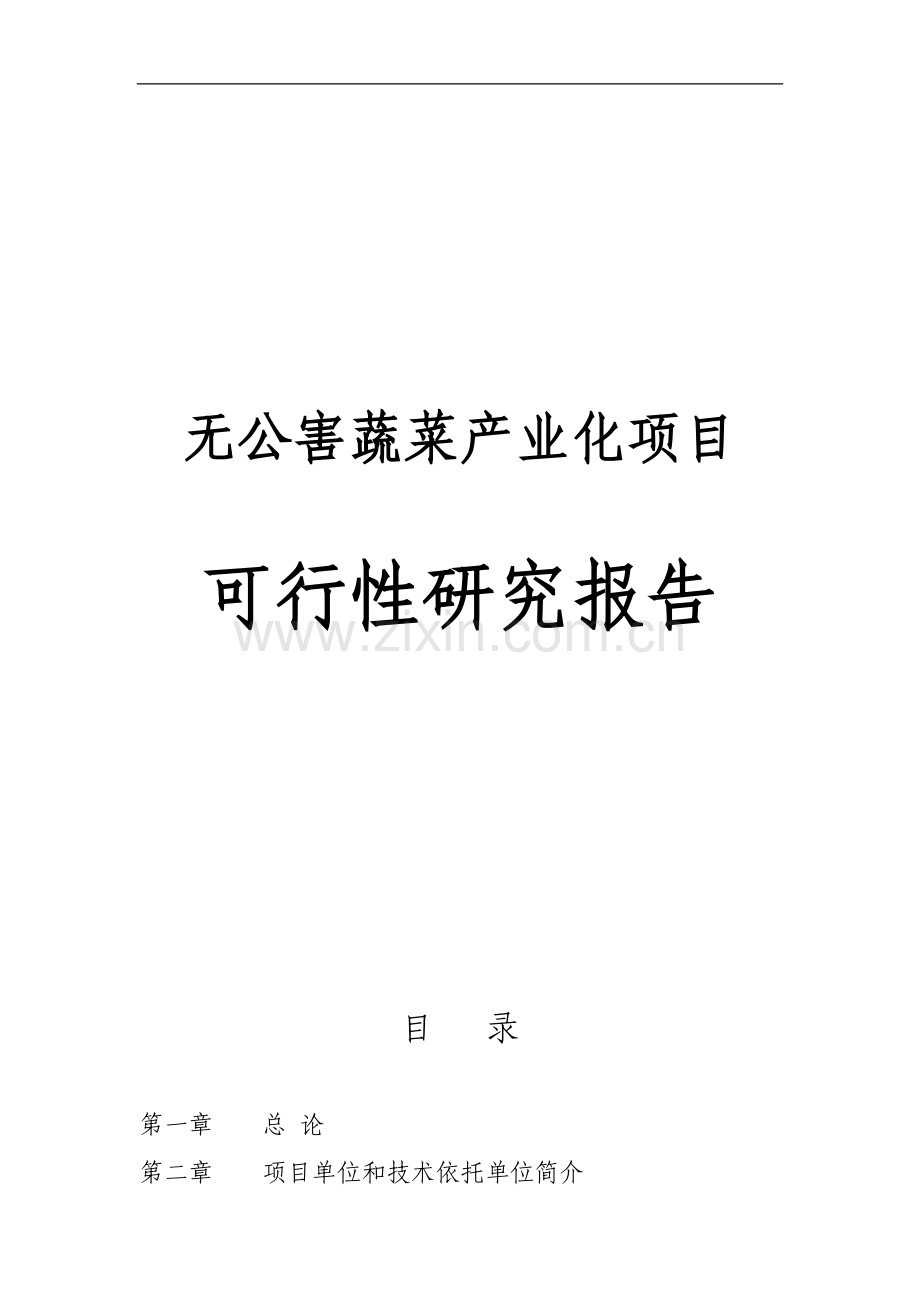 无公害蔬菜产业化项目可行性研究报告.doc_第1页